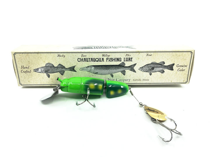 Chautauqua Jointed Deep Diver Beetle, Green Beetle Color