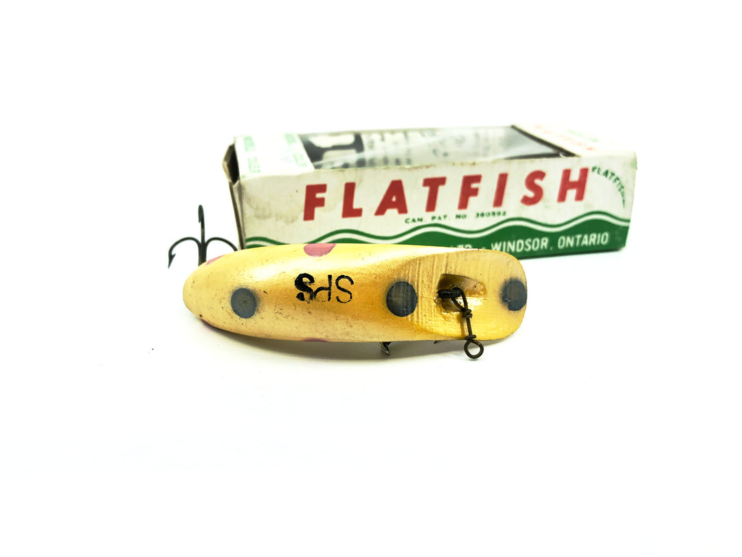 Helin Flatfish SPS, YEP Yellow Pearl Color with Box-Wooden