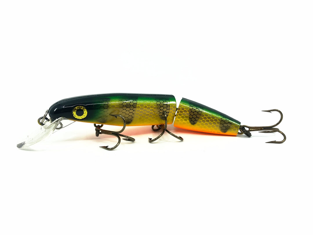 Joe Bucher Tackle Co. Buchertail Jointed Depth Raider 8", Perch Color