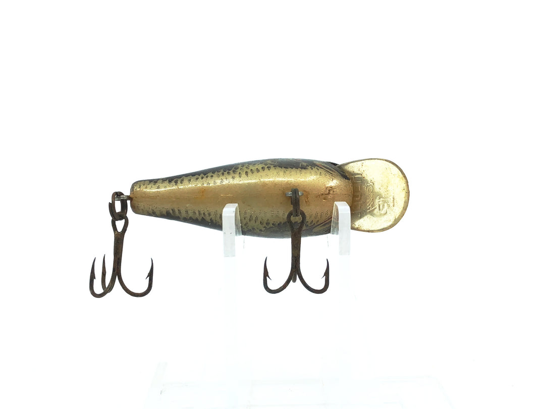 Rebel Teeny Shallow-R F97, #76 Naturalized Bass Color