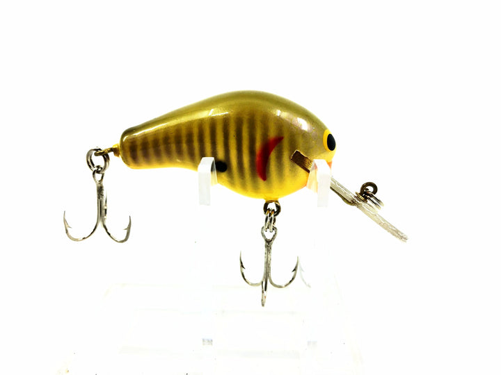 Bagley Diving Killer Balsa DKB1-GOS, Golden Shiner Color - All Brass