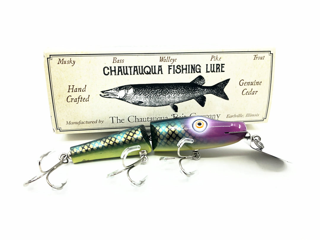 Chautauqua Jointed Creek Chub, Purple Rave Color