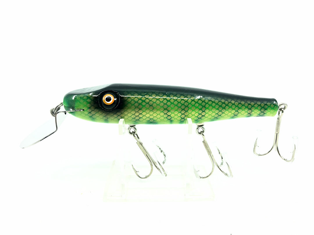 Chautauqua Solid Body Creek Chub, Green Perch Color