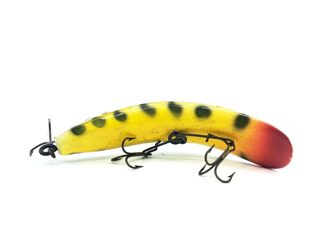 Helin Flatfish M2, CD Coachdog Color