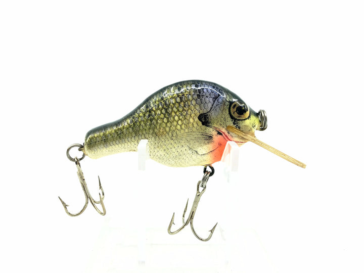 Bagley Small Fry Shallow 3SSF1, BR4 Blue Gill on White Color