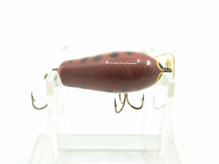 Bagley Honey B HB1-DC, Dark Crayfish Color