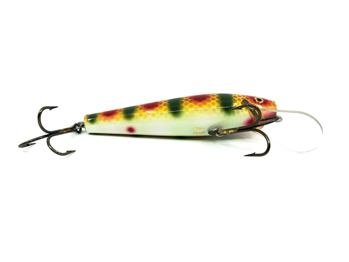 Wiley 6 1/2" Straight Deep Diver, Perch-Special (White Belly) Color