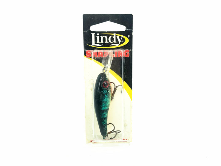 Lindy Shadling, Redtail Color on Card