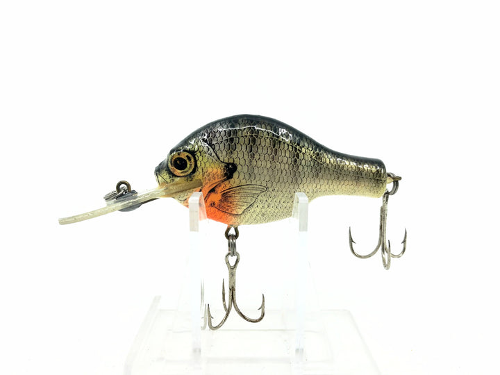 Bagley Small Fry 3DSF1, BR4 Blue Gill/White Belly Color