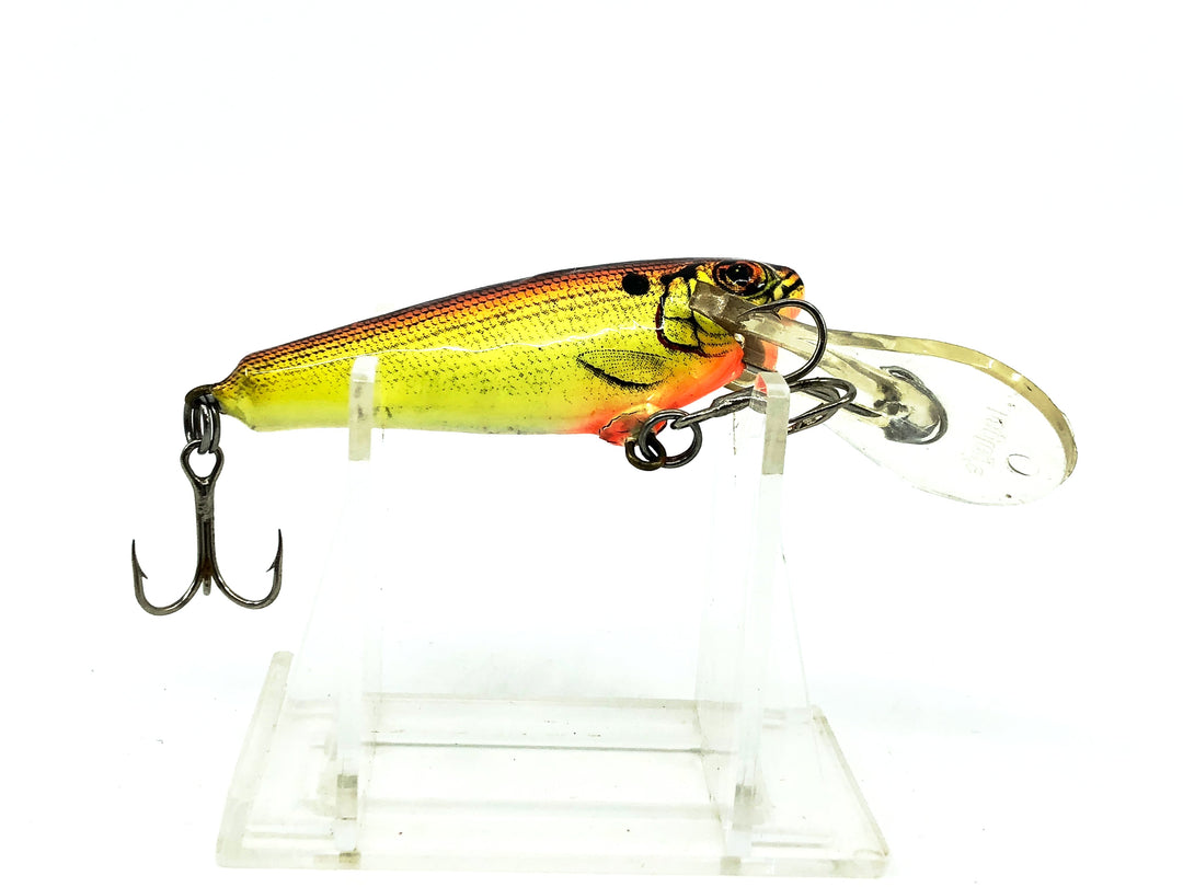 Bagley Small 4DDSF2 Small Fry Shad, Fire Glo Orange "Sundown" Color