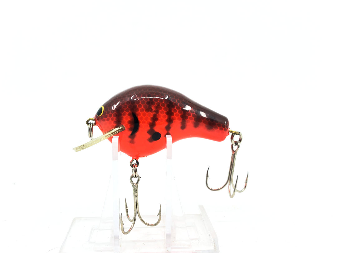 Bagley Balsa B2 BB2-DC2 Dark Crayfish on Orange Color