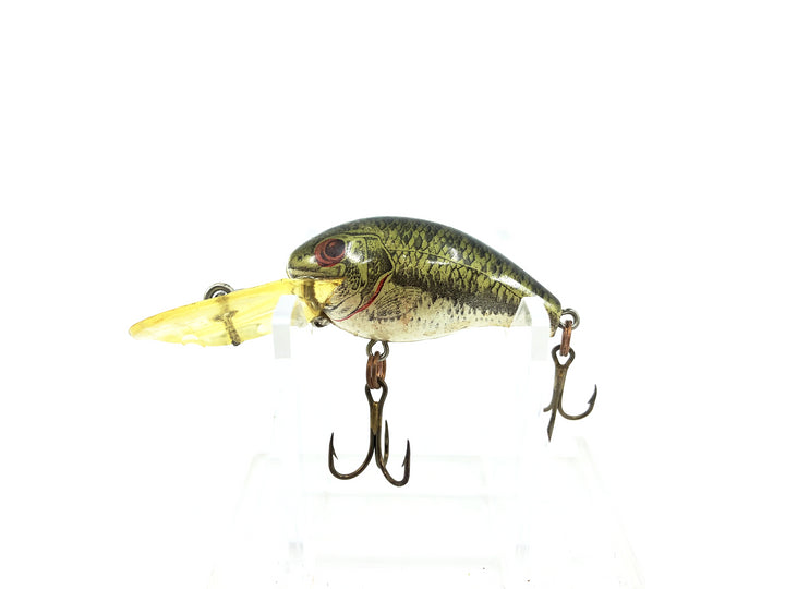 Rebel Deep Teeny-R D92, #76 Naturalized Bass Color