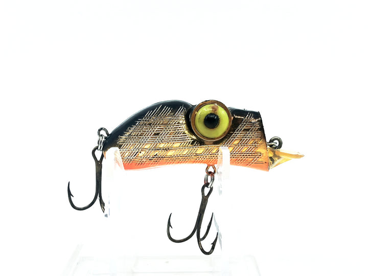 Rabble Rouser Rowdy, Gold/Black Back/Orange Belly Color