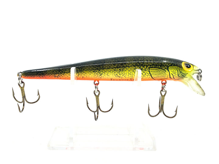 Storm Thunderstick AJ60, Naturistic Perch Color