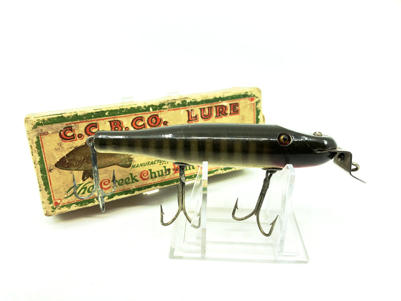 Creek Chub Pikie 700, Pikie Color with Box – My Bait Shop, LLC