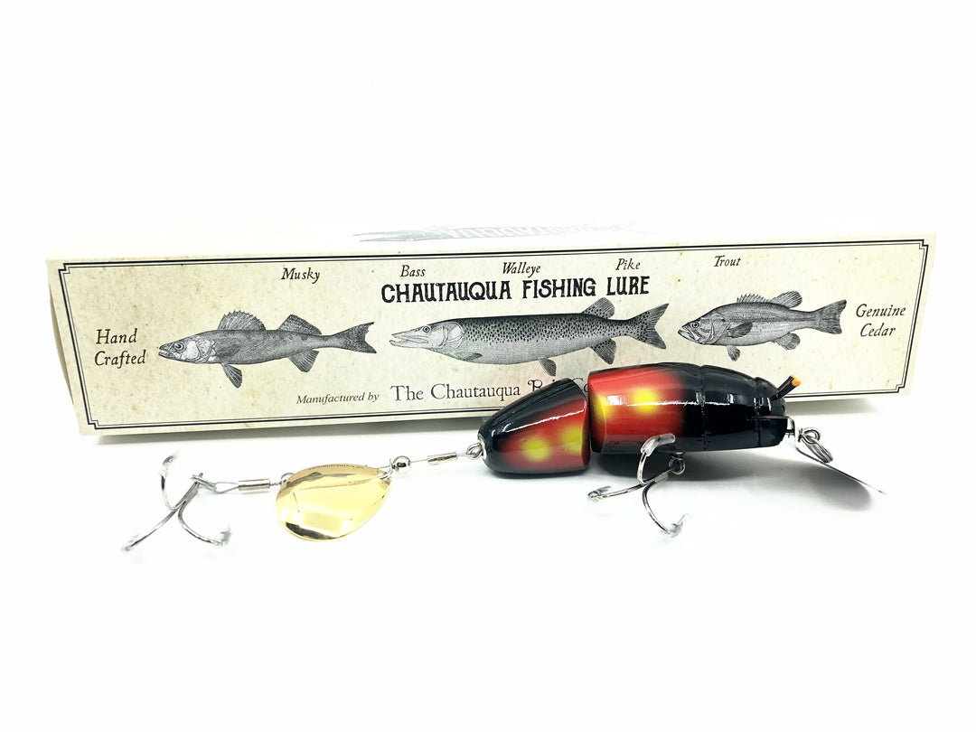 Chautauqua Jointed Deep Diver Beetle, Red &amp; Black Beetle Color