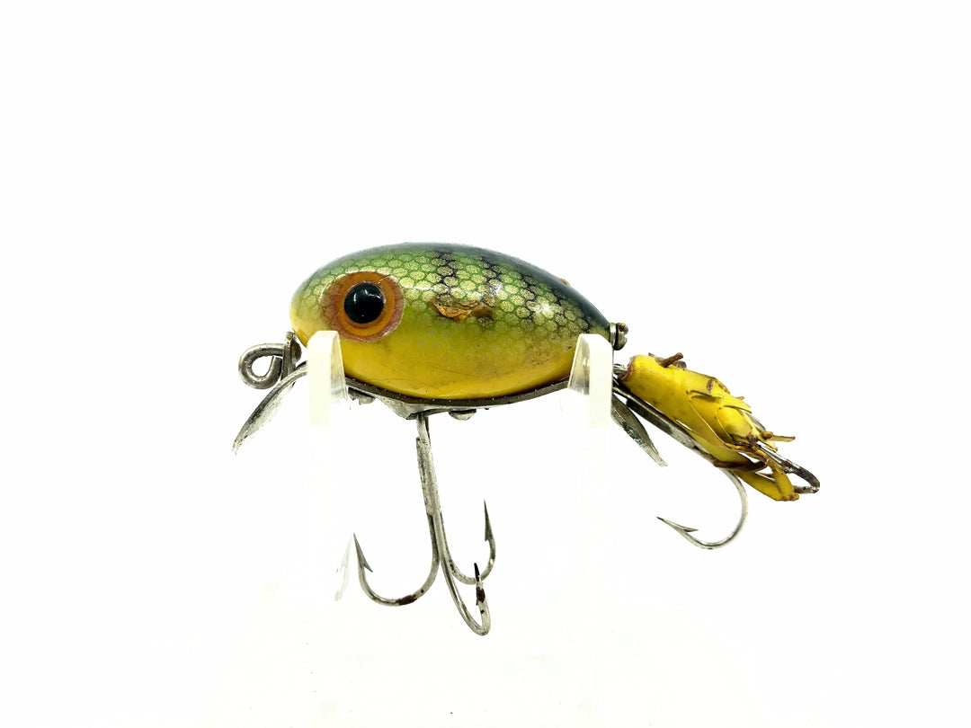 Arbogast Hula Dancer, P Perch Color