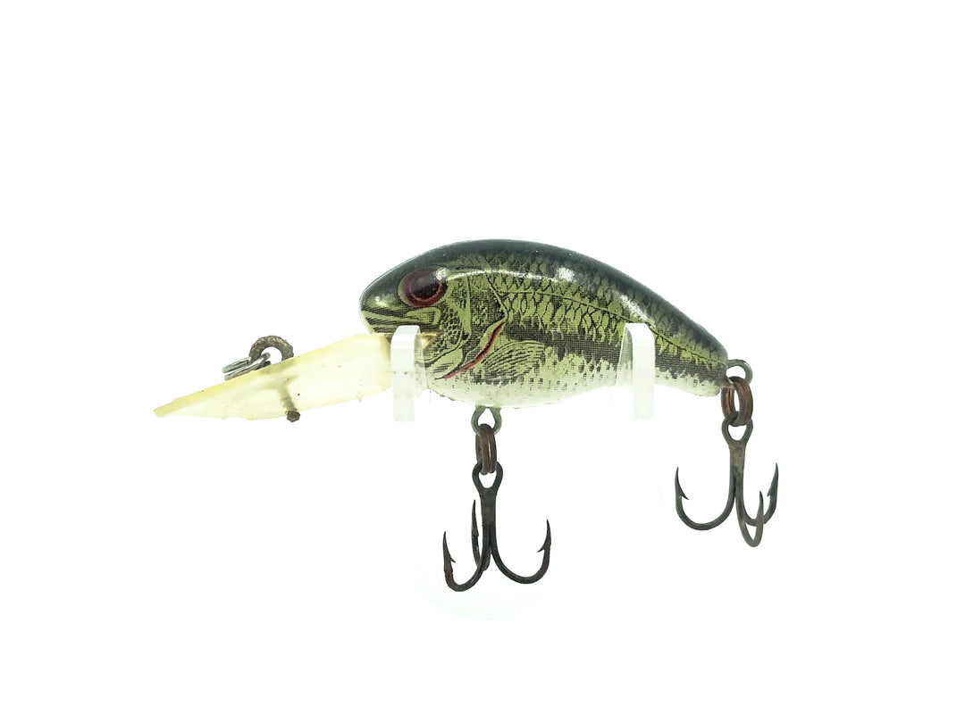 Rebel Deep Teeny R Naturalized Bass Color