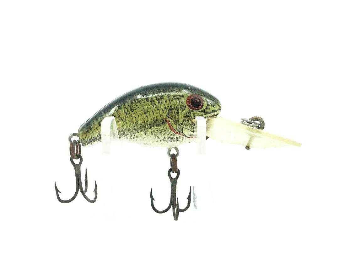 Rebel Deep Teeny R Naturalized Bass Color