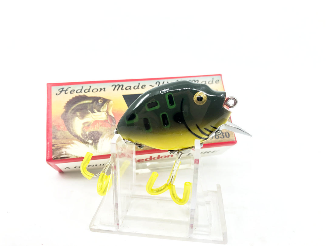 Heddon 9630 Punkinseed X9630BF Bull Frog Color New in Box