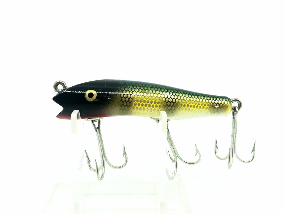 Creek Chub Concave Darter, #01 Perch Color