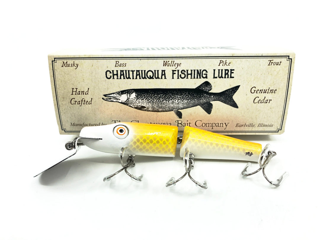 Chautauqua Jointed Creek Chub, Golden Shiner Color