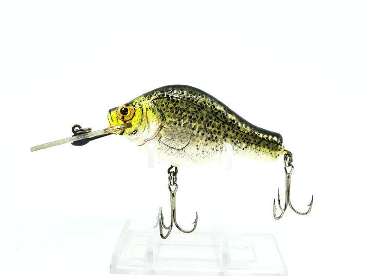 Bagley Small Fry 3DSF1, CY Crappie on Yellow Color