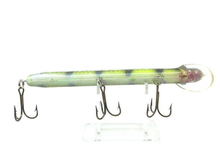 Grandma Classic 6", #02 Perch Color