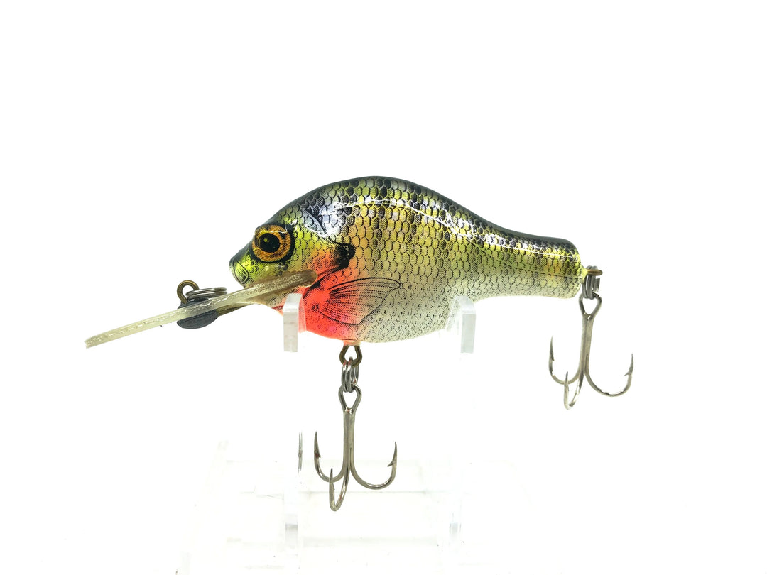 Bagley Small Fry 3DSF1-BR4 Blue Gill/White Belly Color