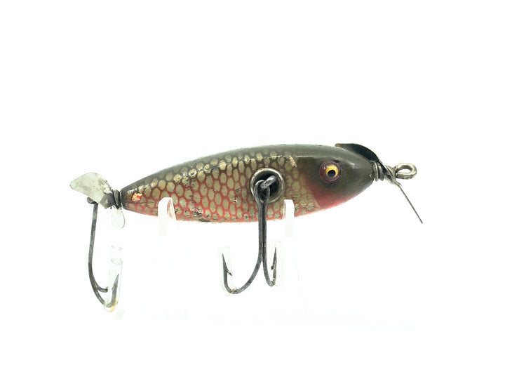 Creek Chub 1600 Baby Injured Minnow / Flatside Chub Red Side Color 1605