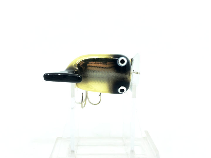 Plastic Image Up-Tail Hi-Tail Imitation, Gold Black Shiner Color