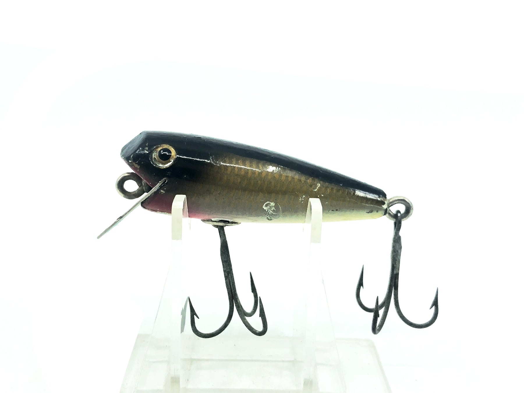 Shakespeare River Pup, SBG Black Back/Gold Sides Color – My Bait Shop, LLC