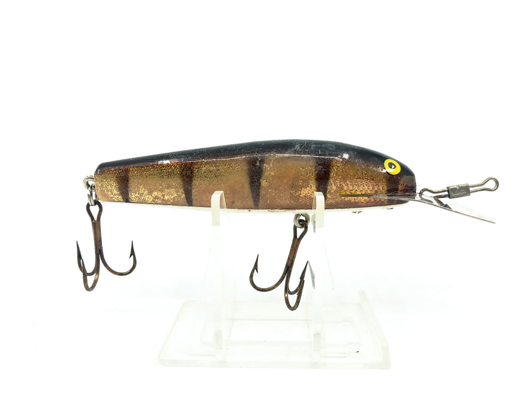 A.C Shiner 401, Gold/Perch Color