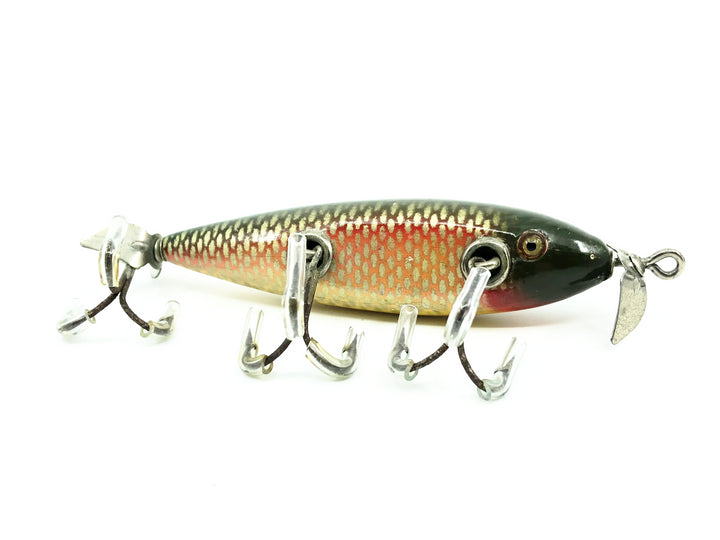 Creek Chub 1500 Injured Minnow / Flatside Chub, 1505 Red Side Color