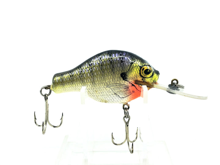 Bagley Small Fry 3DSF1, BR4 Blue Gill/White Belly Color