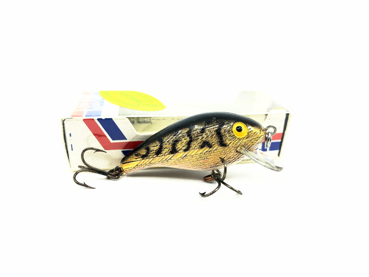 Rebel Shallow R, #12 Gold/Black Stripes Color w/Box