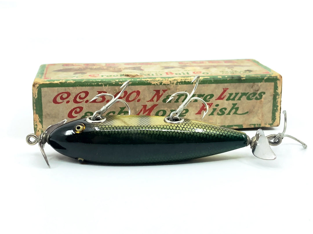 Creek Chub Injured Minnow 1500 Perch Scale 1501 Color with Box