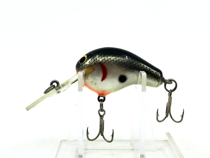 Bagley Divin' Kill'r B1 DKB1, TS Tennessee Shad Color