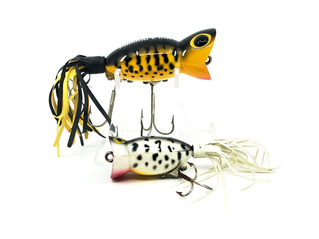 Arbogast Hula Popper Coachdog Combo