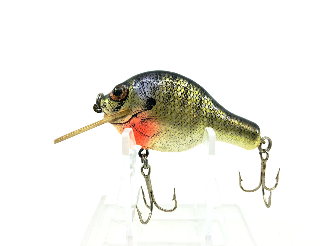 Bagley Small Fry Shallow 3SSF1, BR4 Blue Gill on White Color