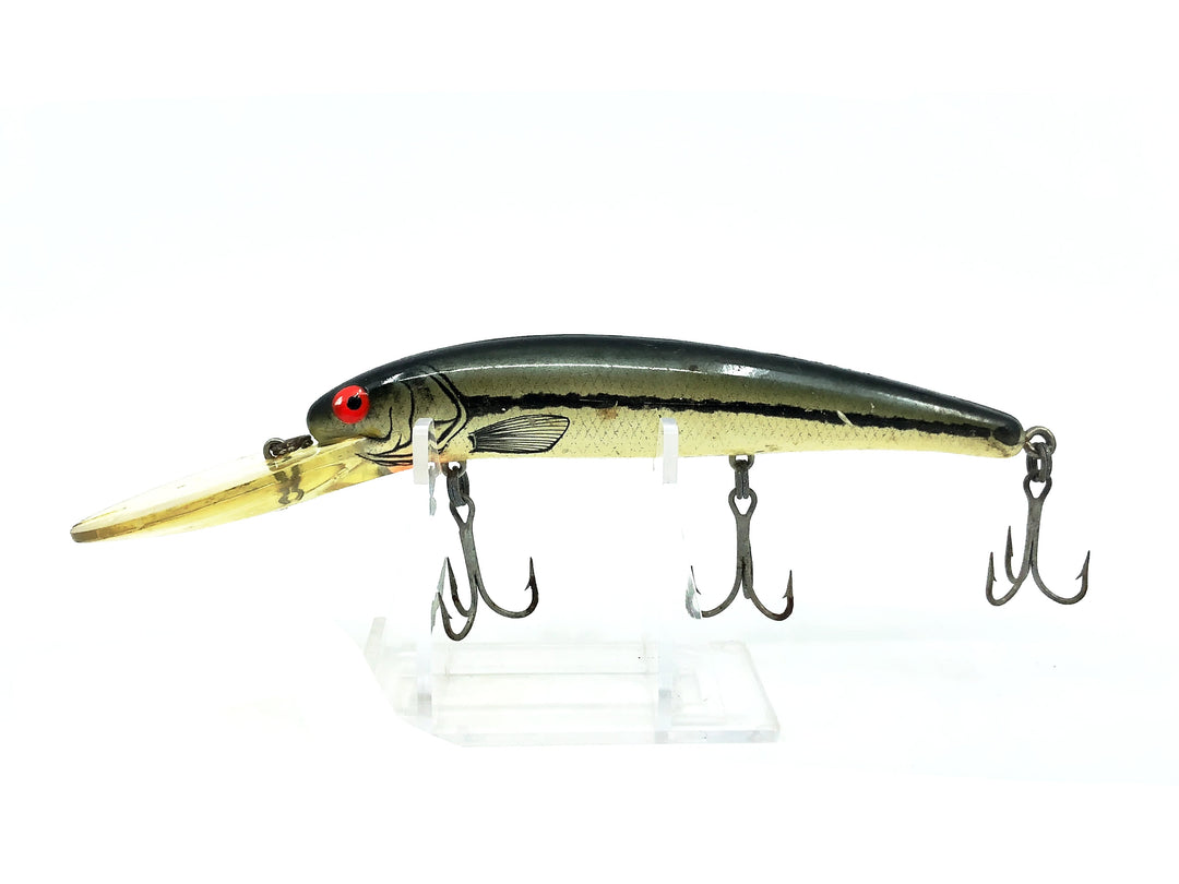 Bomber Long A 25A, XTS Tennessee Shad Color