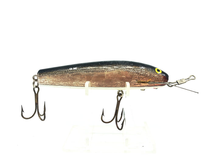 A.C Shiner 401, Gold/Black Back Color