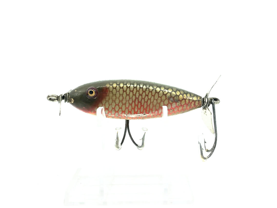 Creek Chub 1600 Baby Injured Minnow / Flatside Chub Red Side Color 1605