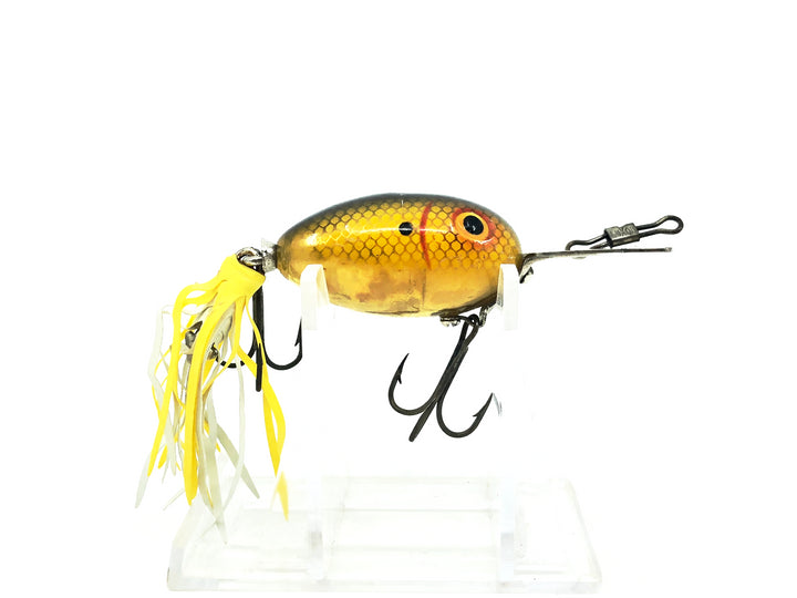 Arbogast Arbo-Gaster, Yellow Scale/Gold Flash Color