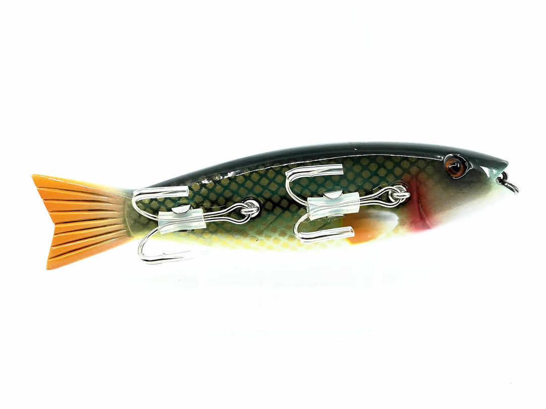 Chautauqua Deluxe Injured Minnow, Creek Chub Color