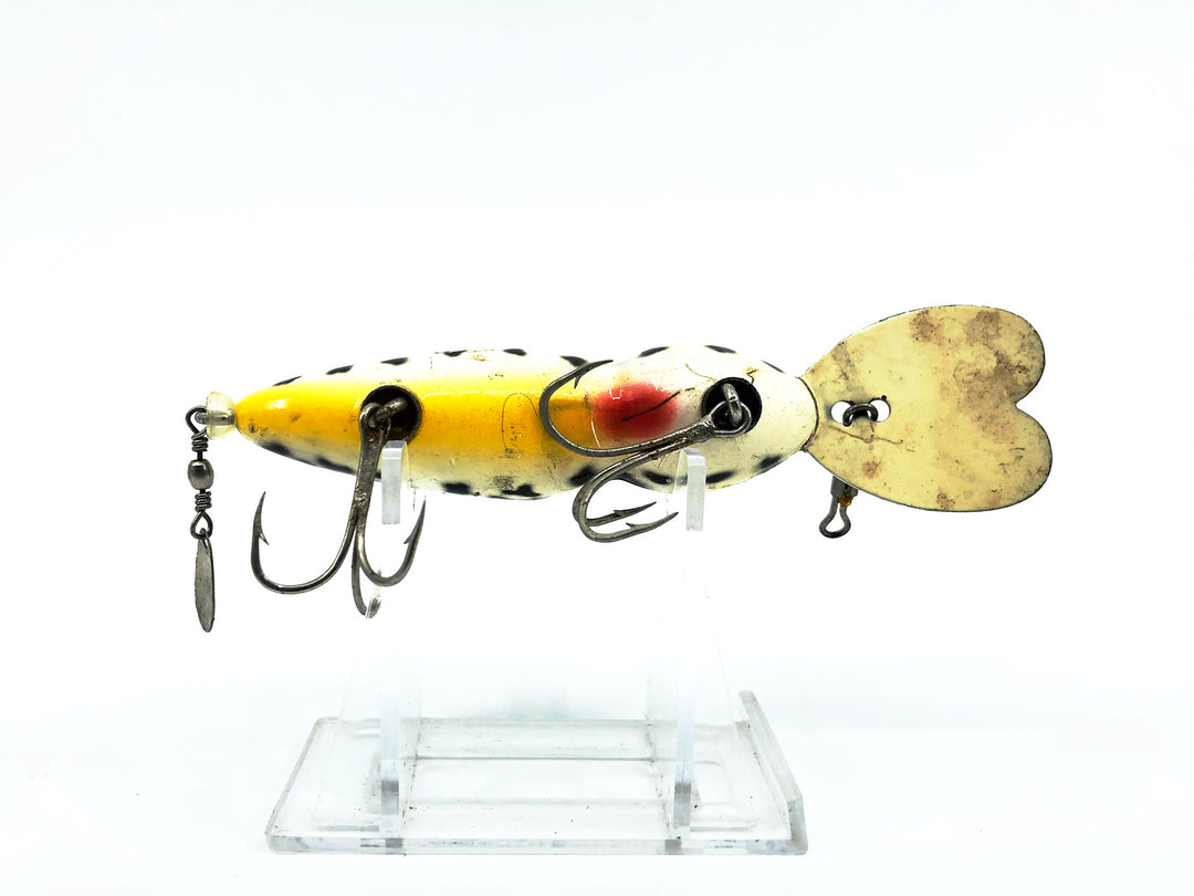 Whopper Stopper Hellbender, Coachdog Color