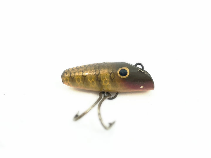 Shur-Strike Fly Oreno, Pikie Scale Color