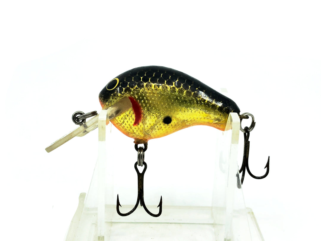 Bagley Divin' Kill'r B1 DKB1, BGOB Black on Gold Foil Color