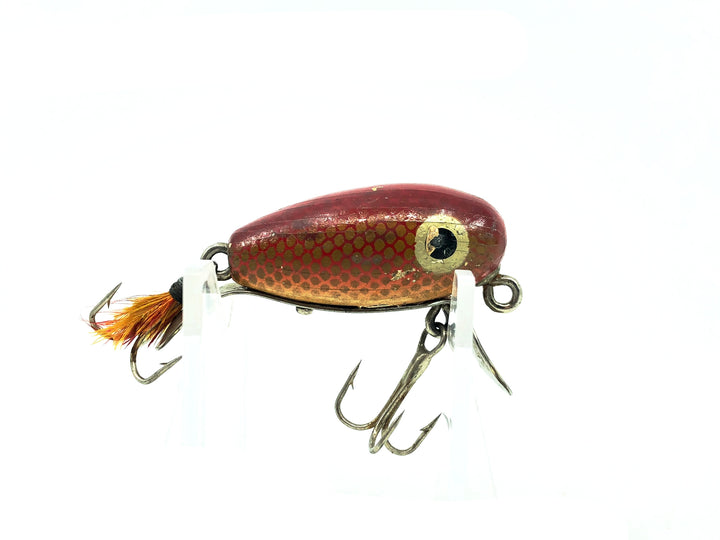 Paw Paw Little Jigger #2600, Goldfish Color