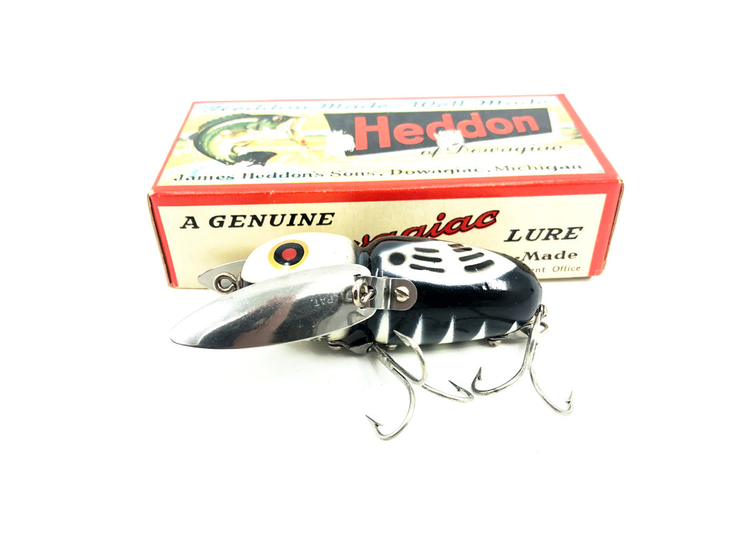 Heddon Crazy Crawler 2100, BWH Black Hornet White Head Color with Box